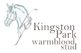 International Sporthorse logo