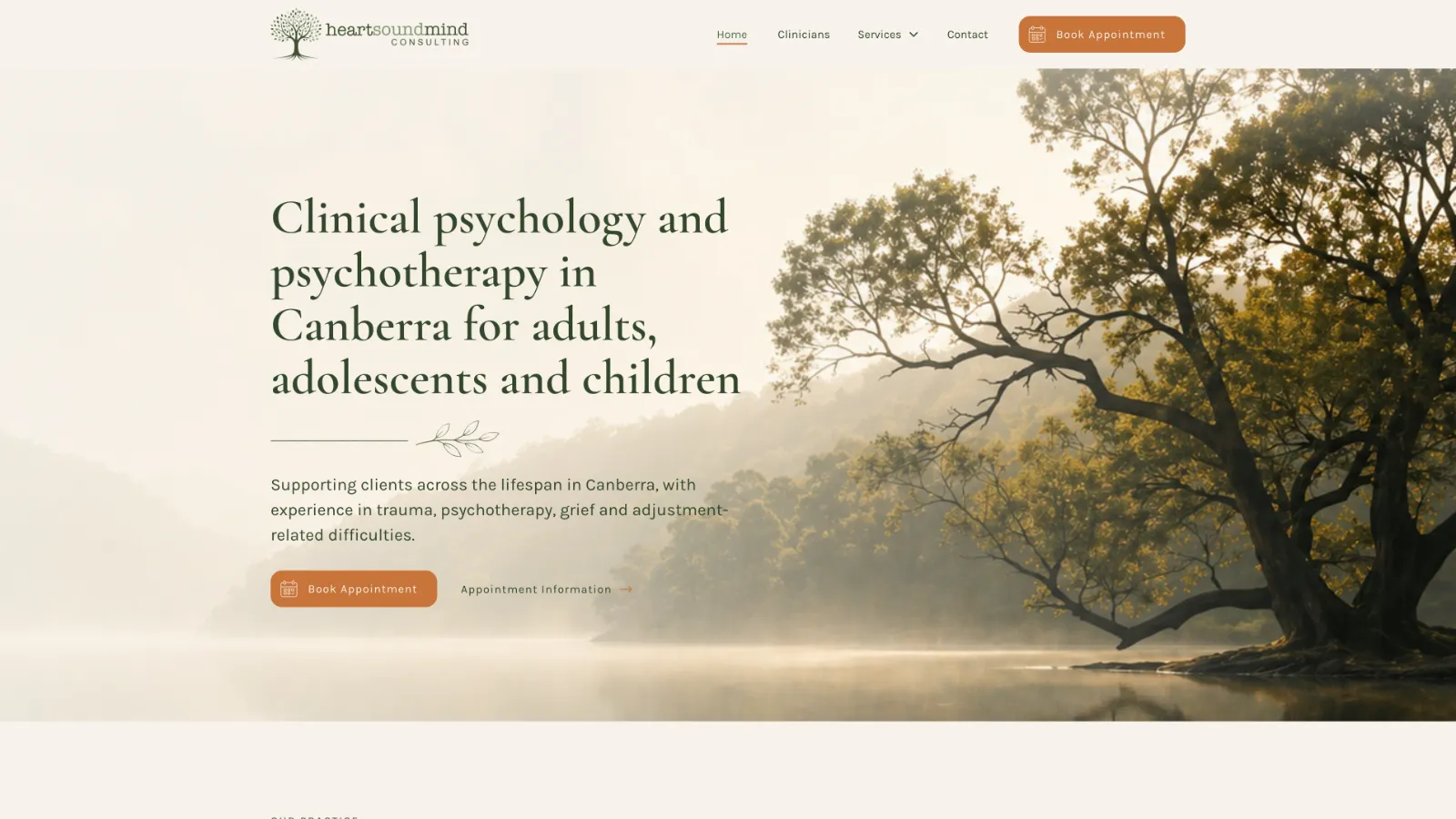 HeartSoundMind Consulting website on desktop