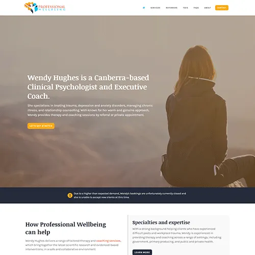 Professional Wellbeing website homepage